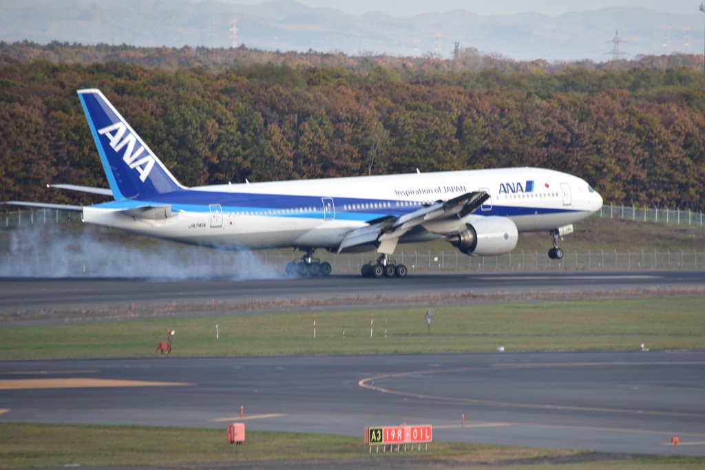 千歳空港