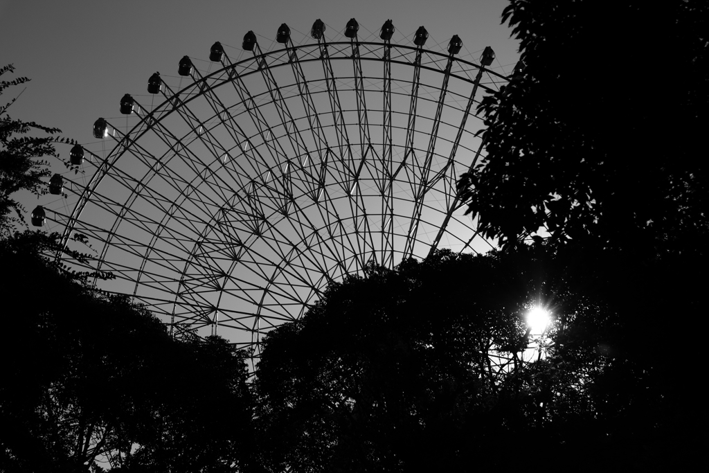 ferris wheel