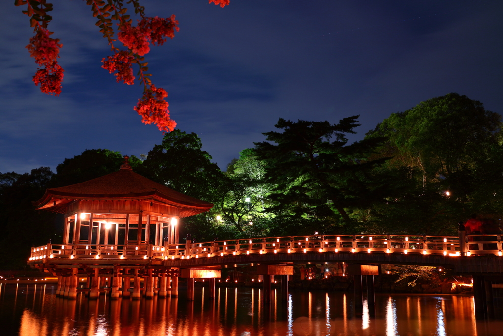 Narapark#4