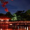 Narapark#4