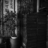 long-established store#1