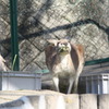 IMG_0795[1]