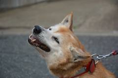 17966784_291752474579229_300271934706650