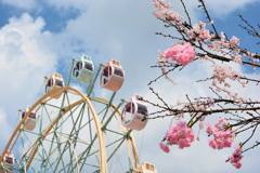 17635201_285026545251822_239277008604492