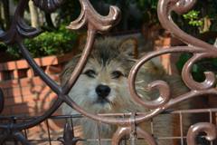 19250487_318809985206811_673409998236268