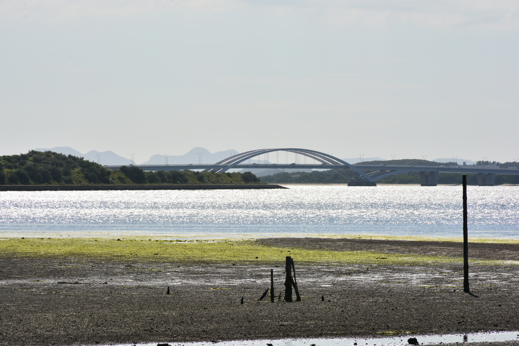 DSC_1816