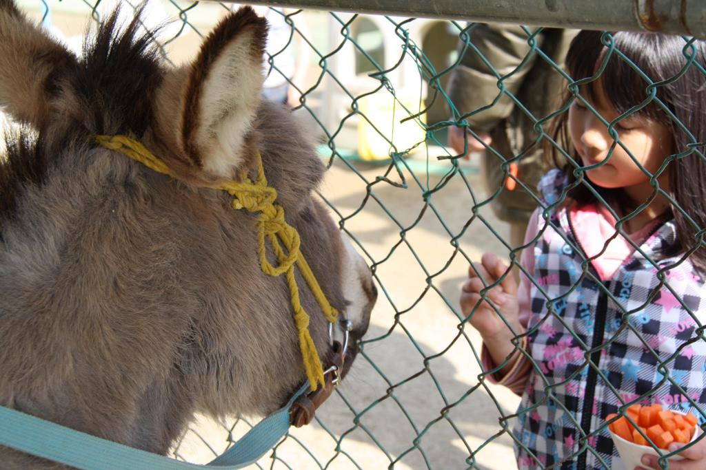 886199_216230375186070_386183519_o