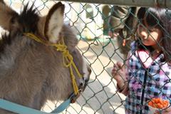 886199_216230375186070_386183519_o