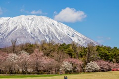 小岩井農場より岩手山を見ゆ