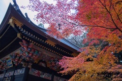 寺と紅葉
