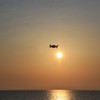 夕日に向かって