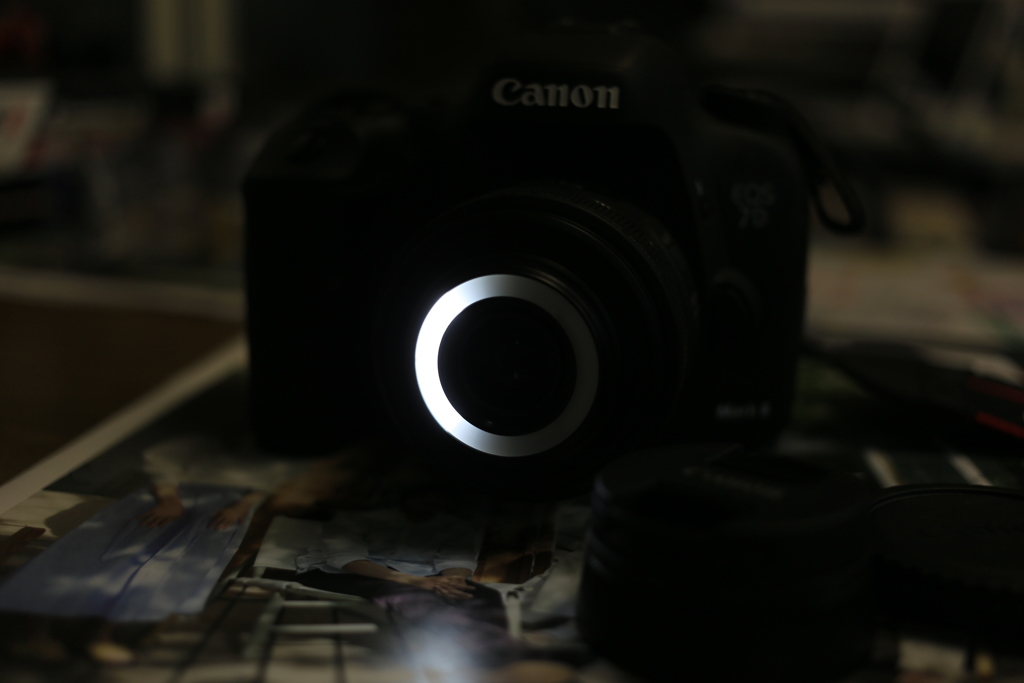 7DMarkⅡ+EF-S35mmMacro 右点灯