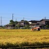 令和初の稲刈り