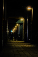 夜の遊歩道
