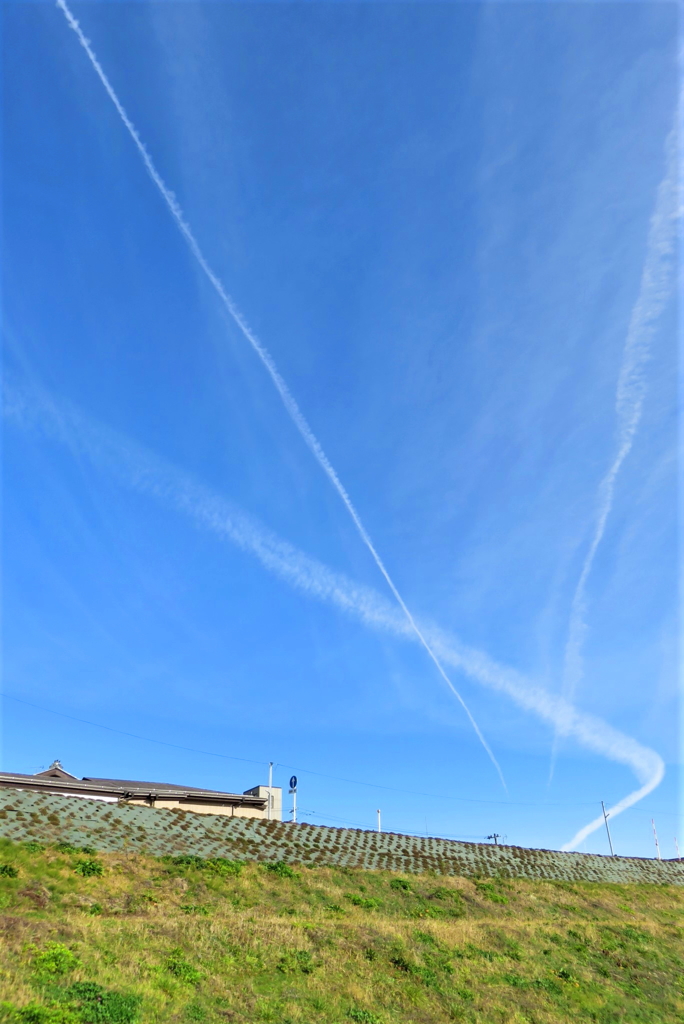 入り乱れる飛行機雲