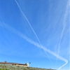 入り乱れる飛行機雲