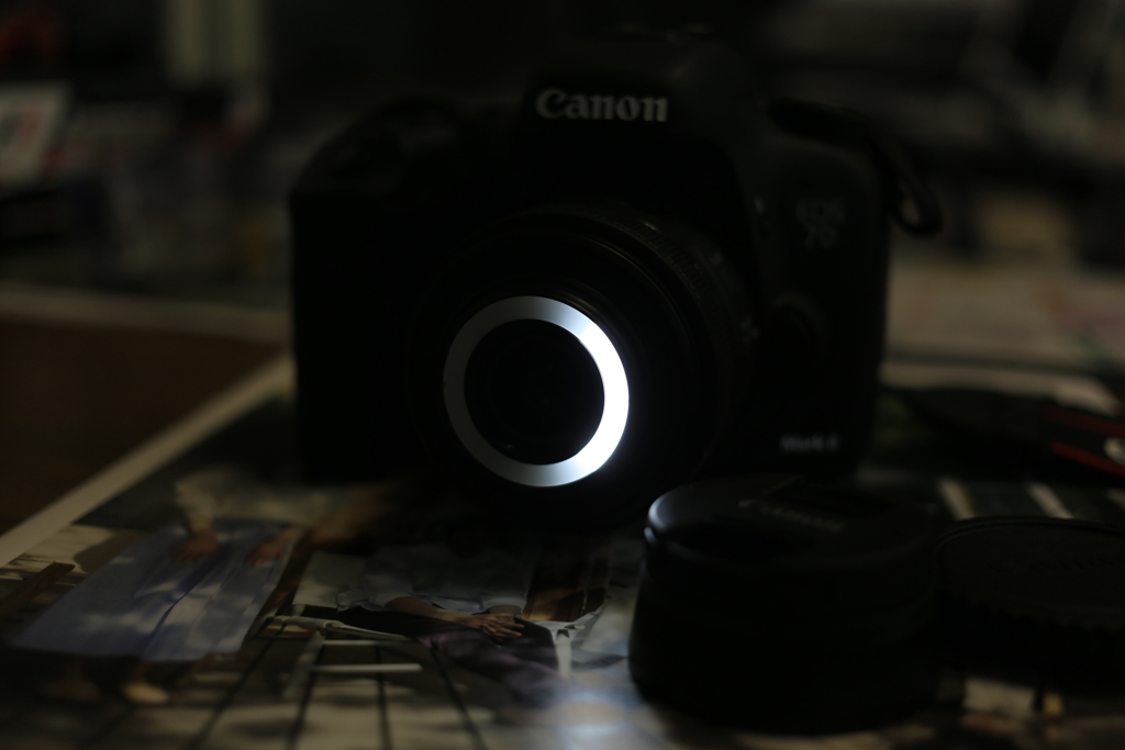 7DMarkⅡ+EF-S35mmMacro 左点灯