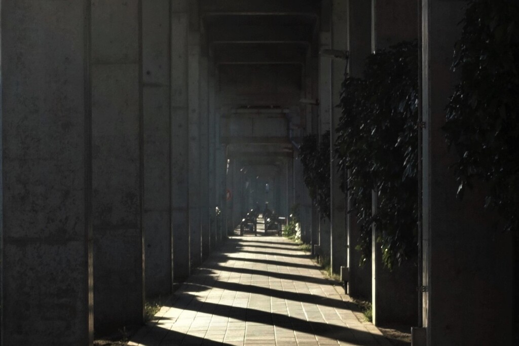 一日の始まり