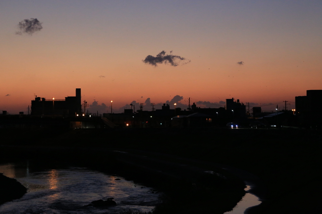 夕景に泳ぐ金魚（ムリありｗ）