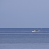 日本海