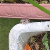 挟まれてるの？