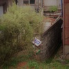 寂しさ
