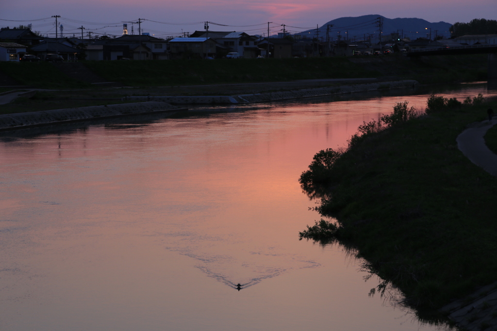 夕暮れ時は寂しそう♬