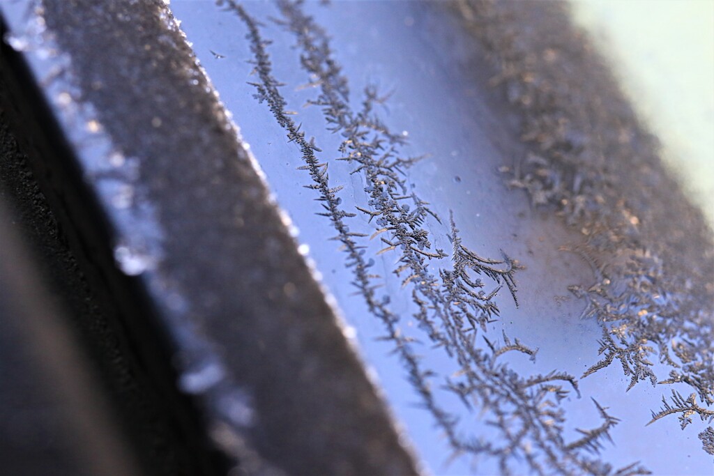 車のウィンドウにできた霜の結晶