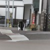 哀愁漂う後ろ姿
