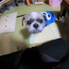 ぬ？