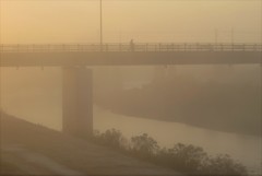 朝靄の中の散歩