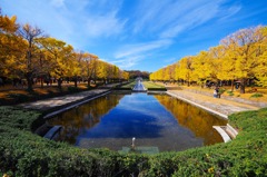 国営昭和記念公園