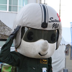 入間航空祭 ＼(^o^)／