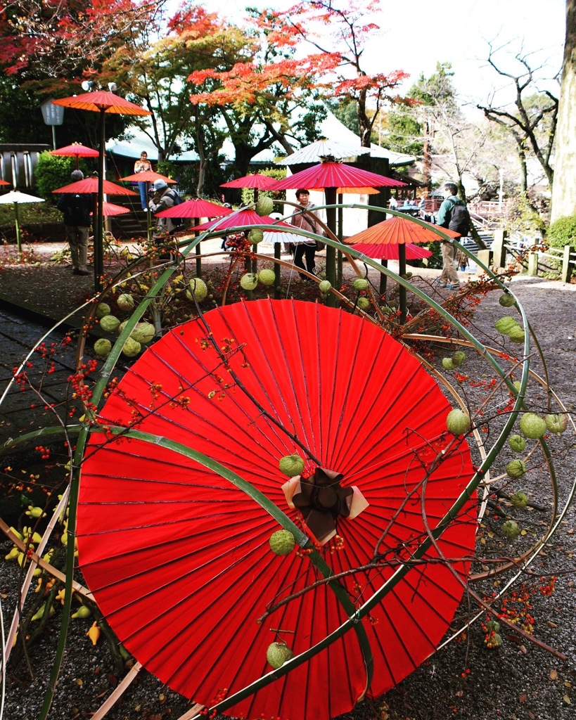 「和傘紅葉in川越喜多院」