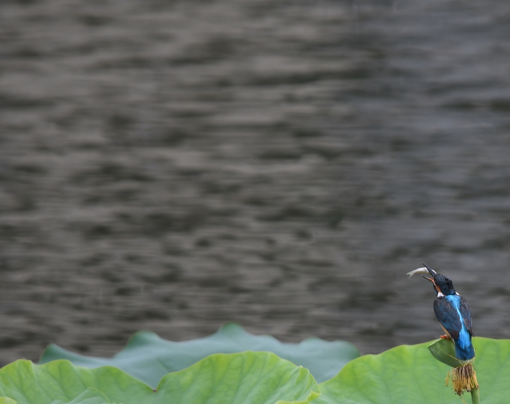 最高のレストラン (^^)/~~~。