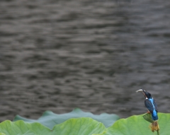 最高のレストラン (^^)/~~~。