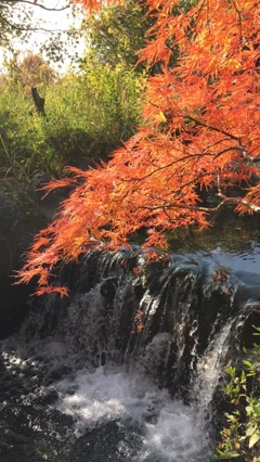 上尾丸山公園