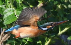 今の君は、ピカピカに光って ～♪。