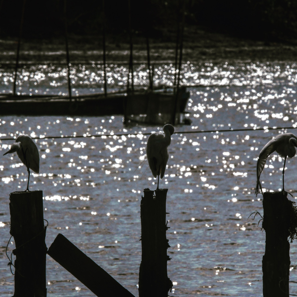 ひと休み (^○^)