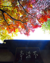 中院 ( ◠‿◠ )