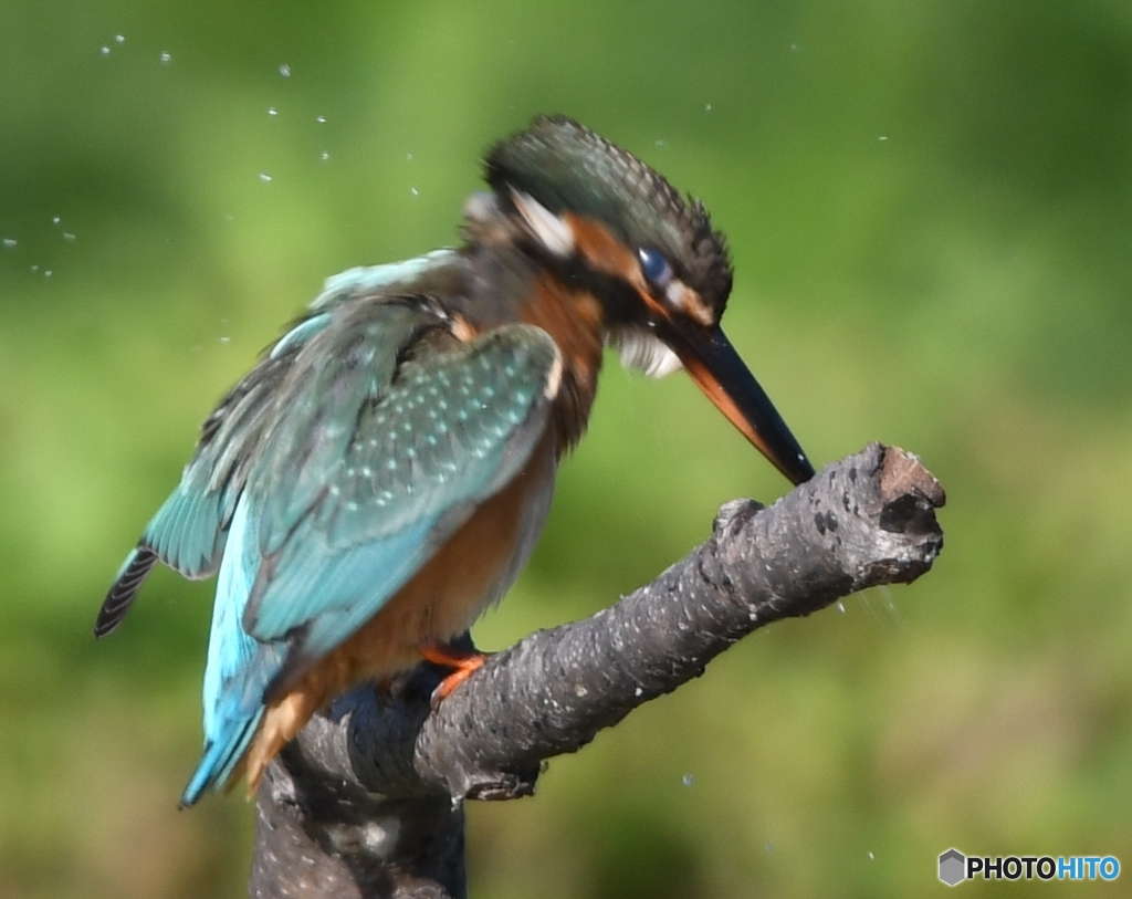続ブルブル～ッ 編 その② (''◇'')ゞ。