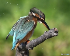 続ブルブル～ッ 編 その② (''◇'')ゞ。