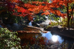 上尾丸山公園