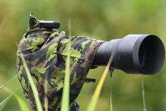 出演日程が不明な主役をひたすらじーっと待つ (=^▽^)σ。