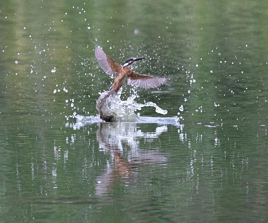 よいしょ～♪。