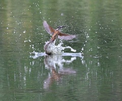 よいしょ～♪。