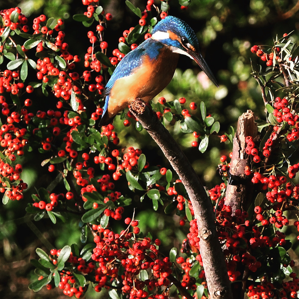 飾られたお立ち台にて (^^♪。