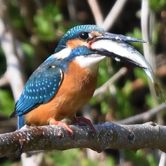 いただきます ～♪。