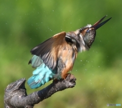 ブルブル～ッ 編 その① (''◇'')ゞ。