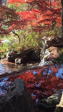 上尾丸山公園